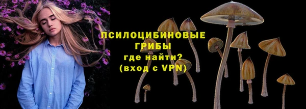 прущие грибы Алексин