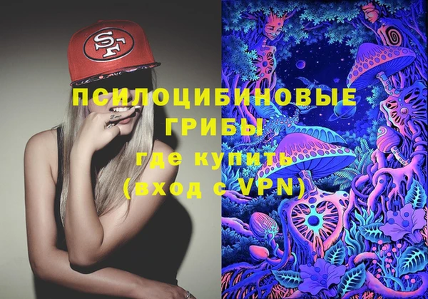 spice Арсеньев