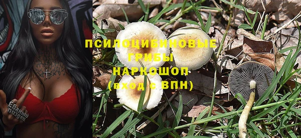 spice Арсеньев