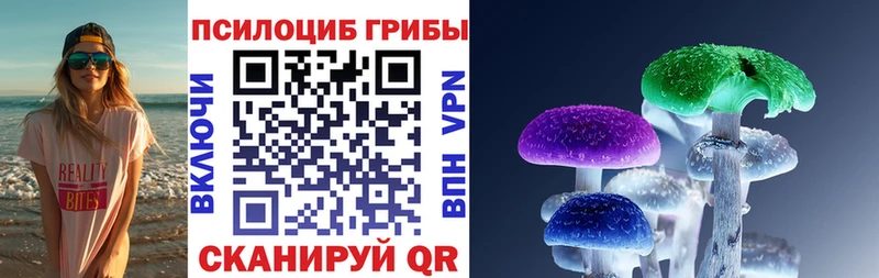 Галлюциногенные грибы ЛСД  Стародуб 
